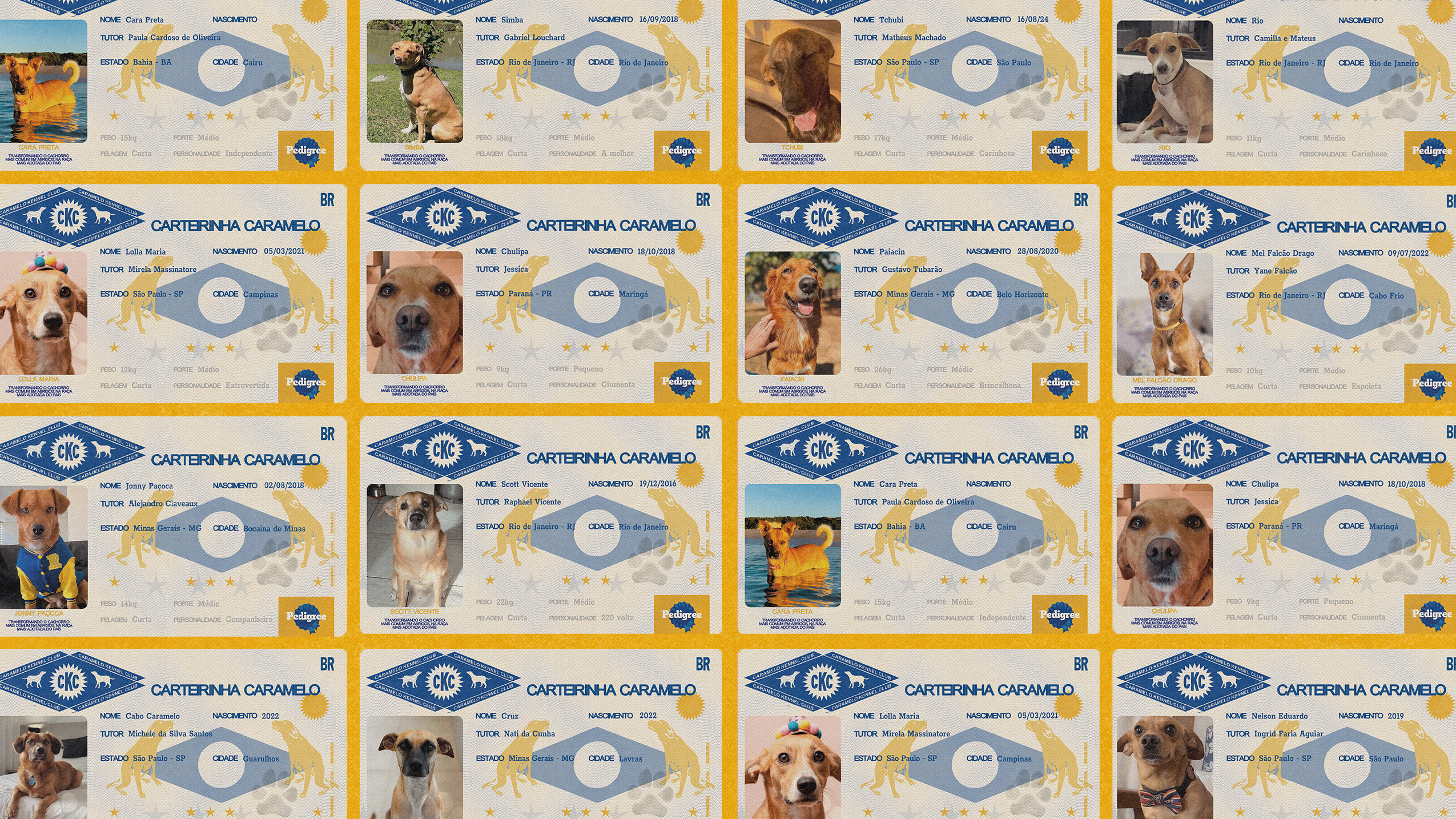 AF.Almap_Pedigree_Caramelo_Carteirinha-02