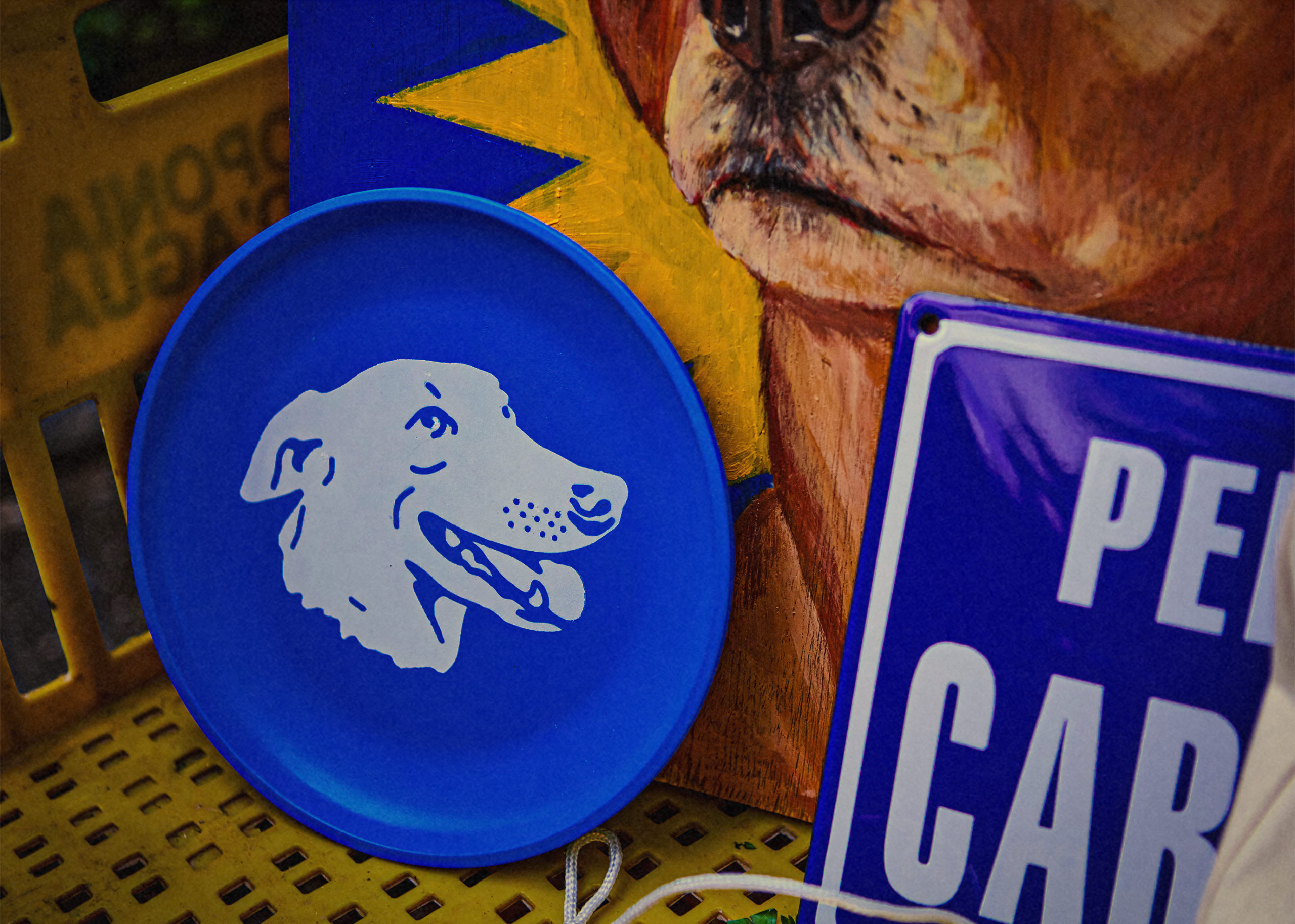 ALMAP_PEDIGREE_CARAMELO_SHOOTING_07