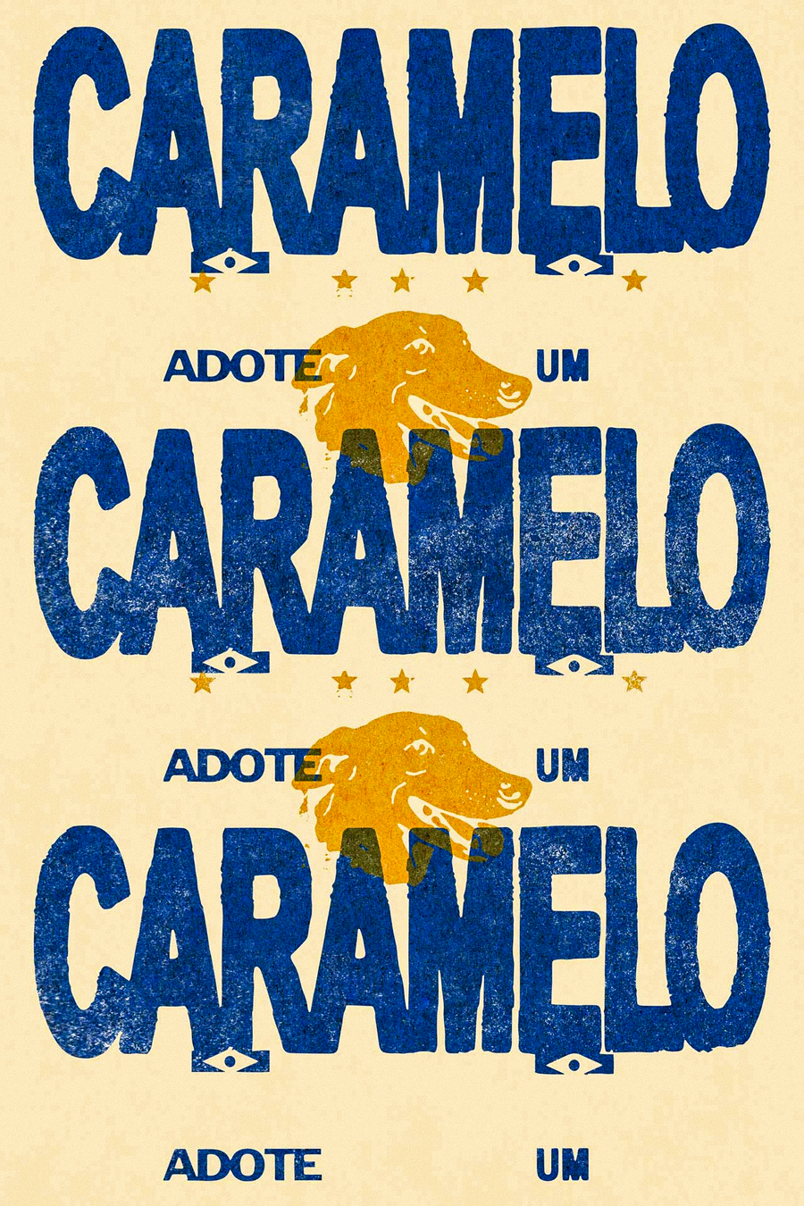 ALMAP_PEDIGREE_LAMBE_08