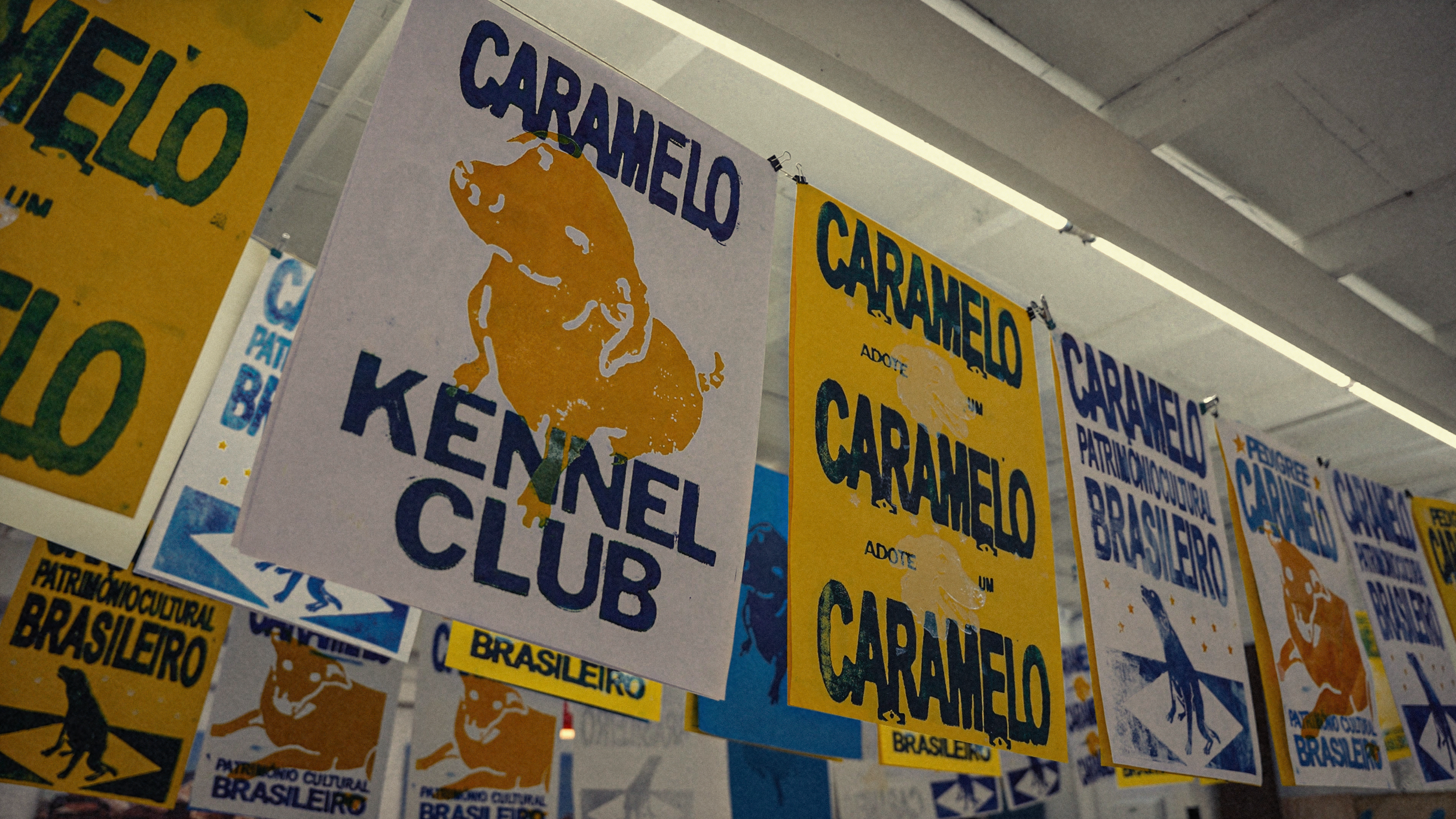 ALMAP_PEDIGREE_CARAMELO_SHOOTING_12