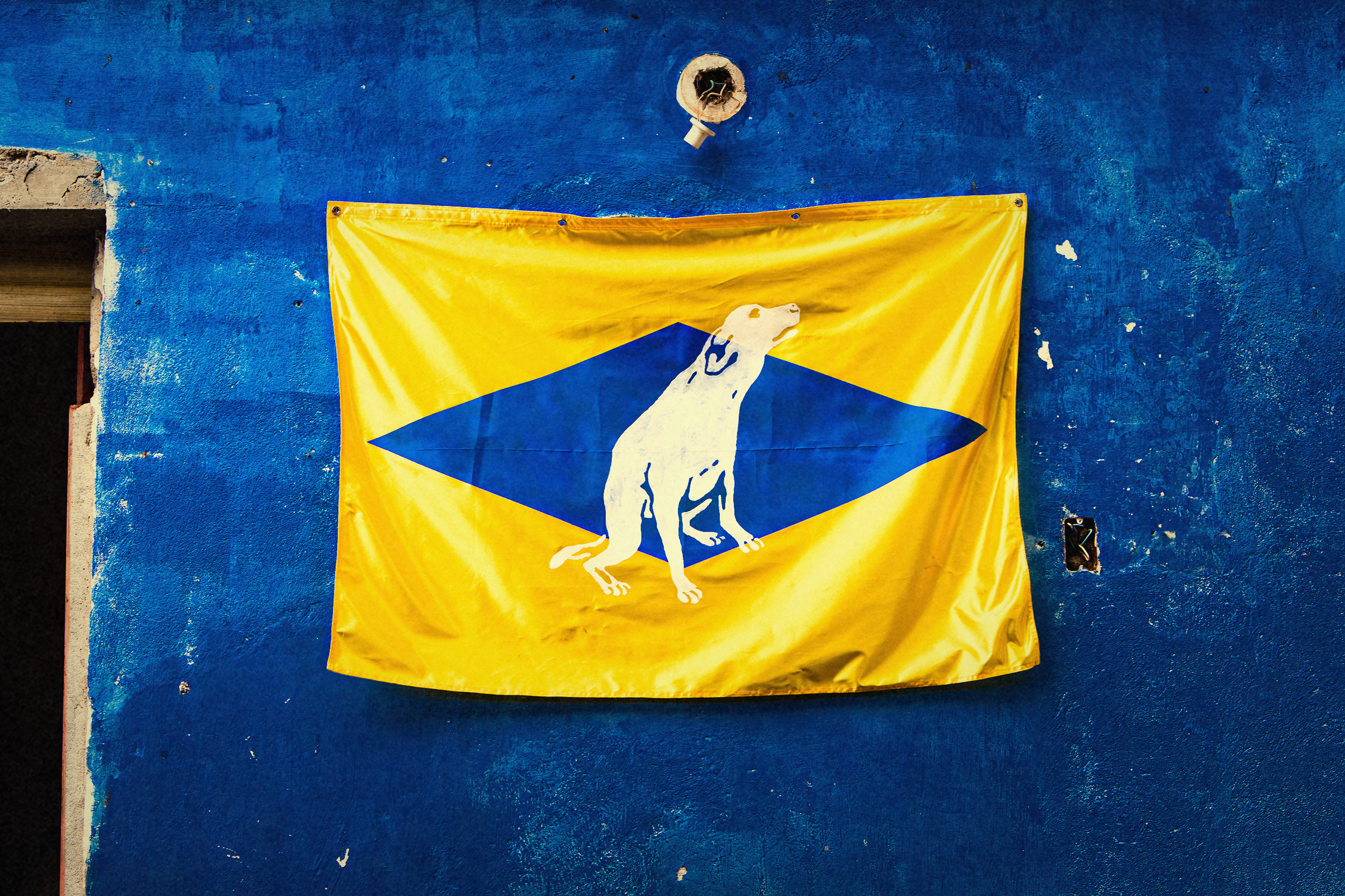 ALMAP_PEDIGREE_CARAMELO_SHOOTING_19