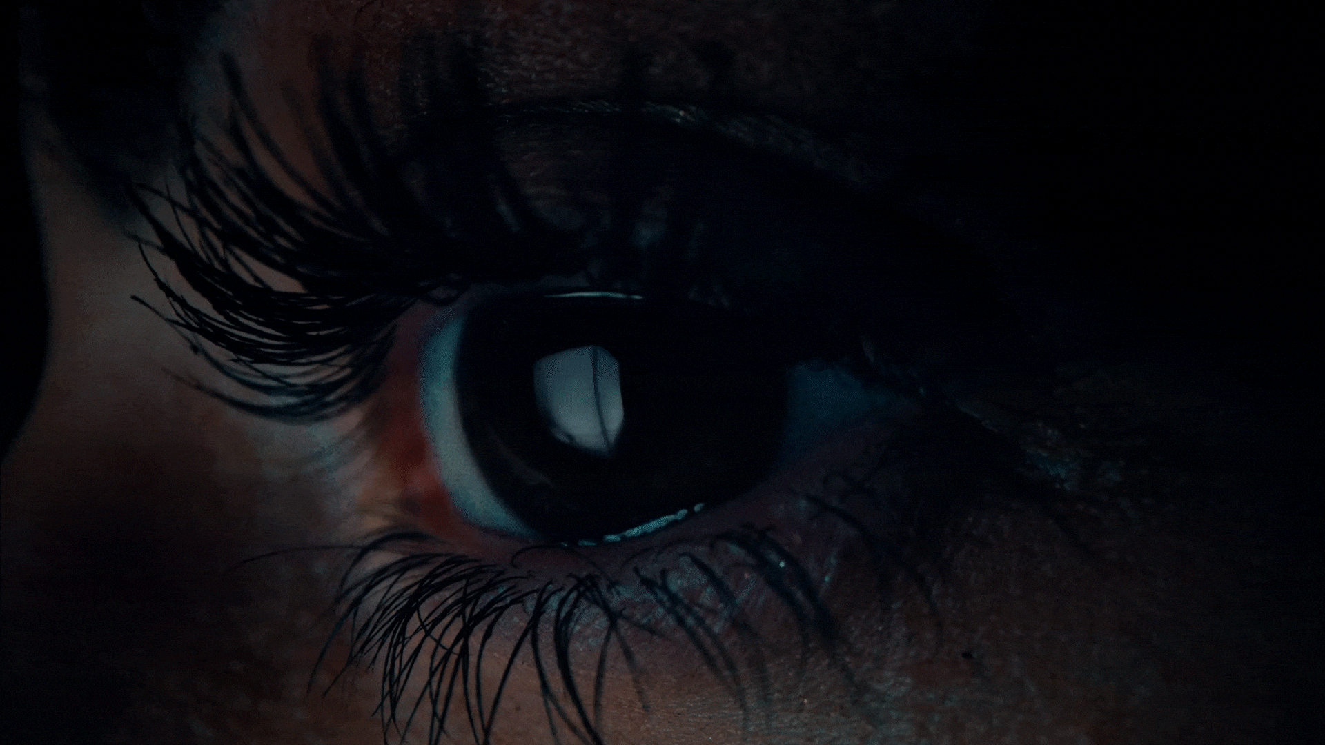 Citroen-_-White-Cube_G02